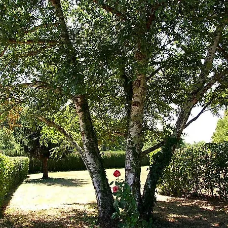 Les Feuillantines Perigord Noir 4* Saint-Cyprien (Dordogne)