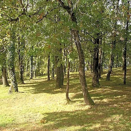 Les Feuillantines Perigord Noir 4* Saint-Cyprien (Dordogne)
