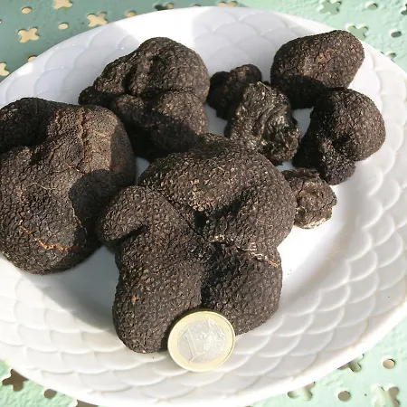 Frühstückspension Les Feuillantines Perigord Noir *