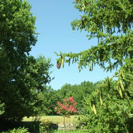 Bed & Breakfast Les Feuillantines Perigord Noir Saint-Cyprien (Dordogne)