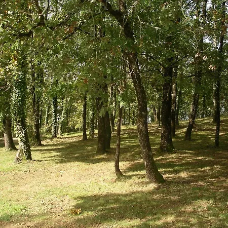 Les Feuillantines Perigord Noir *