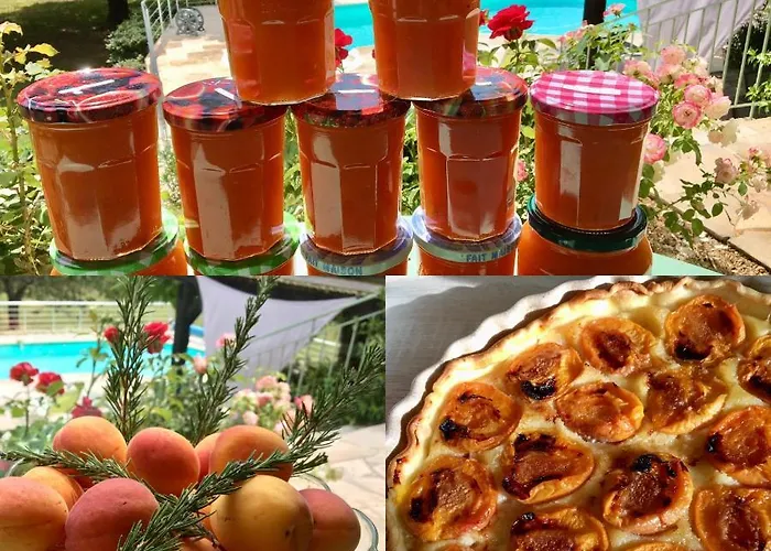 Les Feuillantines Perigord Noir Отель типа 