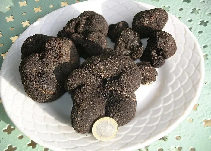 Couette-café Les Feuillantines Perigord Noir 4*