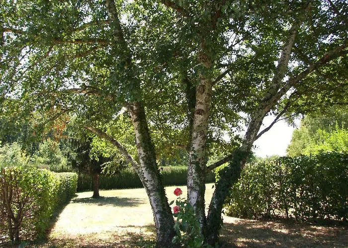 Les Feuillantines Perigord Noir Couette-café 4*