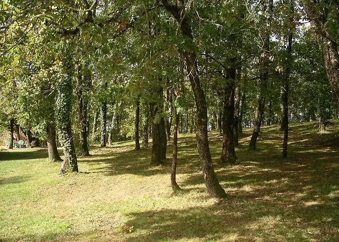 Les Feuillantines Perigord Noir 4*